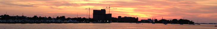 header image